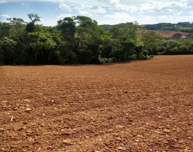 AREA PLANTA/PERTO MOSTEIRO MONTE CARMELO AREA PLANTA/PERTO MOSTEIRO MONTE CARMELO