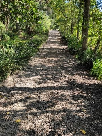 CHACARA  MARGENS BR 476 (ROD XISTO) BAIRRO SERRINHA,  FINAL RUA JOSE MOSSON