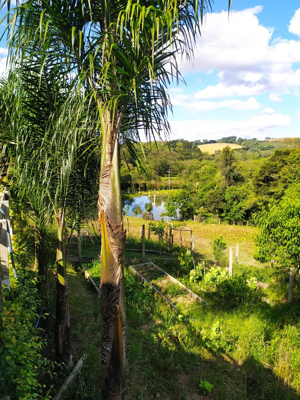 CHACARA 27.000M2 / 6KM ASFALTO / IDEAL EVENTOS