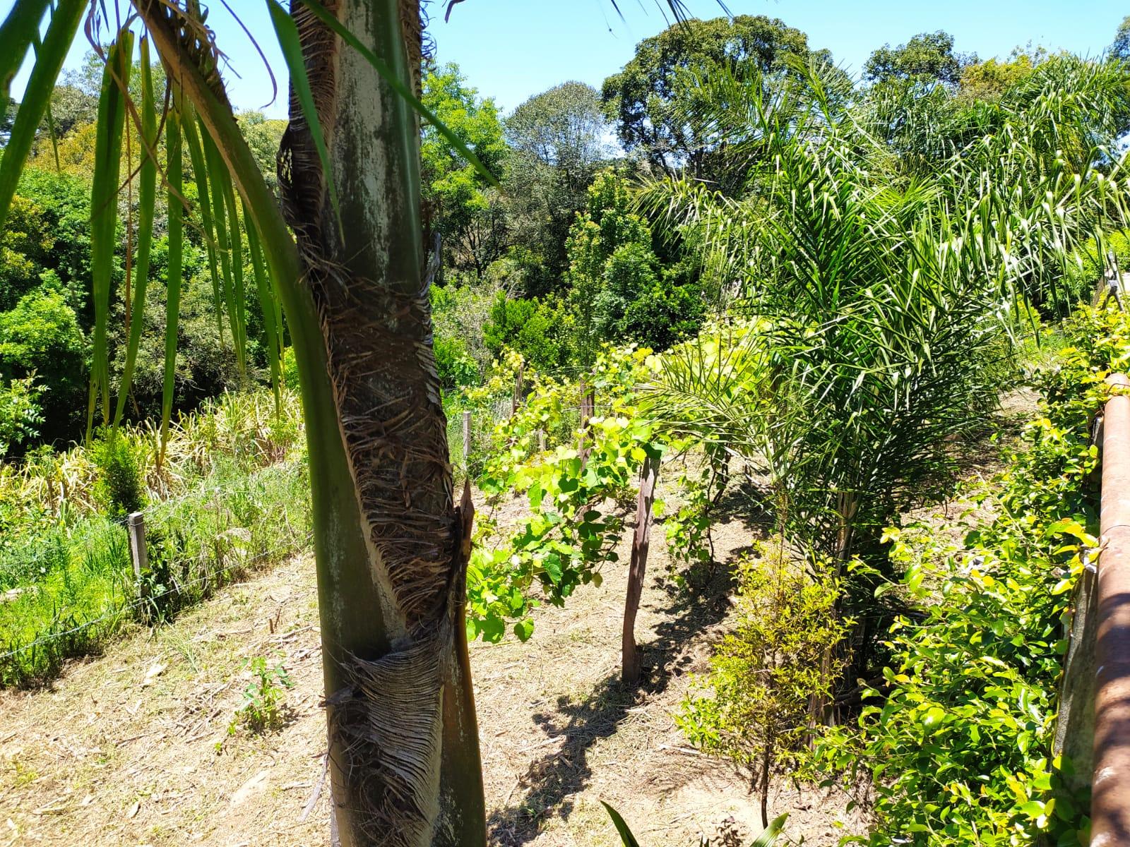 CHACARA 27.000M2 / 6KM ASFALTO / IDEAL EVENTOS