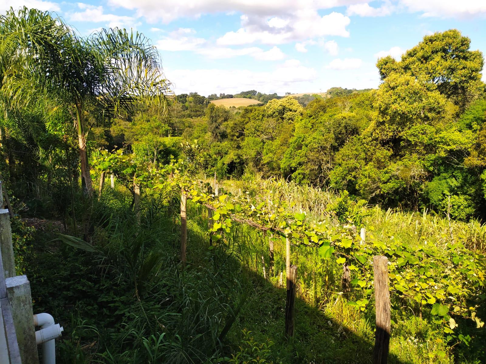 CHACARA 27.000M2 / 6KM ASFALTO / IDEAL EVENTOS