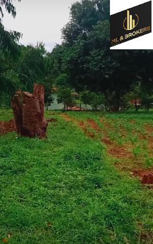 45.000M2/3CASAS ALV./CAMPO FUTEBOL/INVESTIDOR