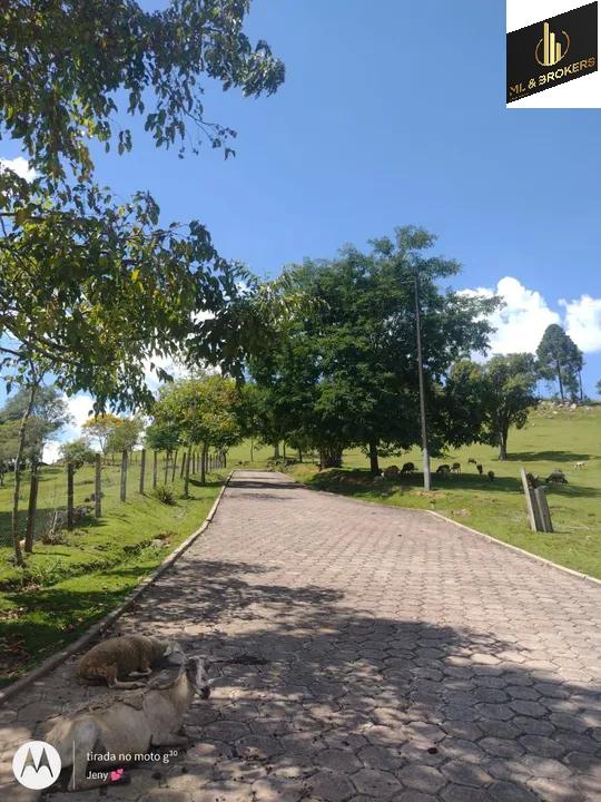 45.000M2/3CASAS ALV./CAMPO FUTEBOL/INVESTIDOR