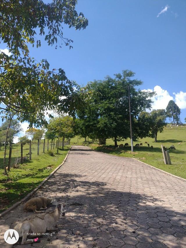 45.000M2/3CASAS ALV./CAMPO FUTEBOL/INVESTIDOR