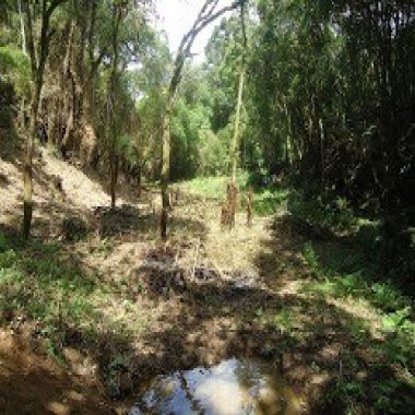 222.000M2 / 15 KM AUDI / INVESTIDOR 222.000M2 / 15 KM AUDI / INVESTIDOR