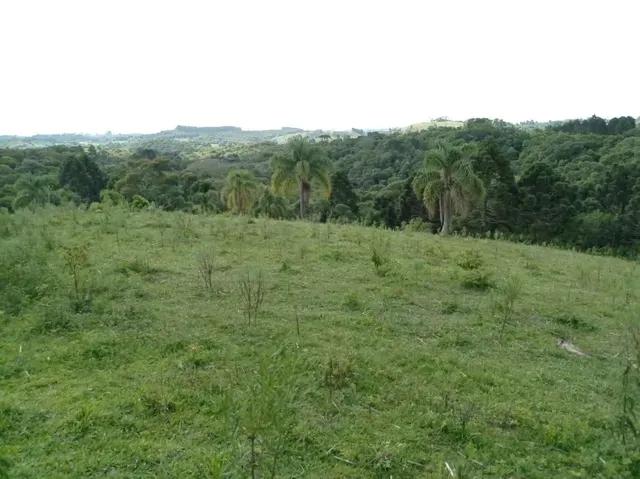 30.383M2 / AVERBADO / INVESTIDOR