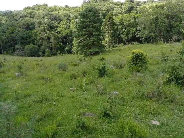 30.383M2 / AVERBADO / INVESTIDOR