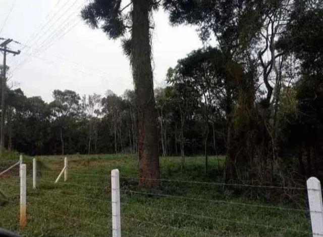 22.000M2 / 4 KM BR / PREÇO PROMOCIONAL