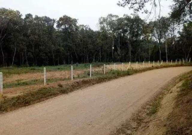 22.000M2 / 4 KM BR / PREÇO PROMOCIONAL