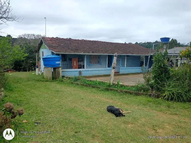 22.000M2 / TODA CERCADA / 2 KM  BR 116 /IDEAL INVESTIDOR