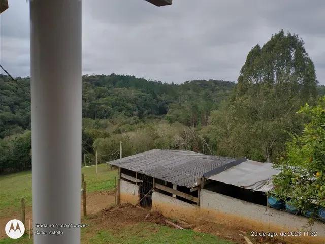 22.000M2 / TODA CERCADA / 2 KM  BR 116 /IDEAL INVESTIDOR