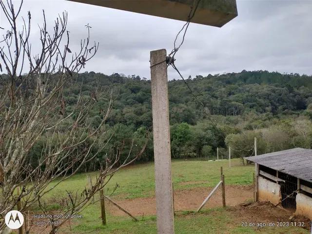 22.000M2 / TODA CERCADA / 2 KM  BR 116 /IDEAL INVESTIDOR