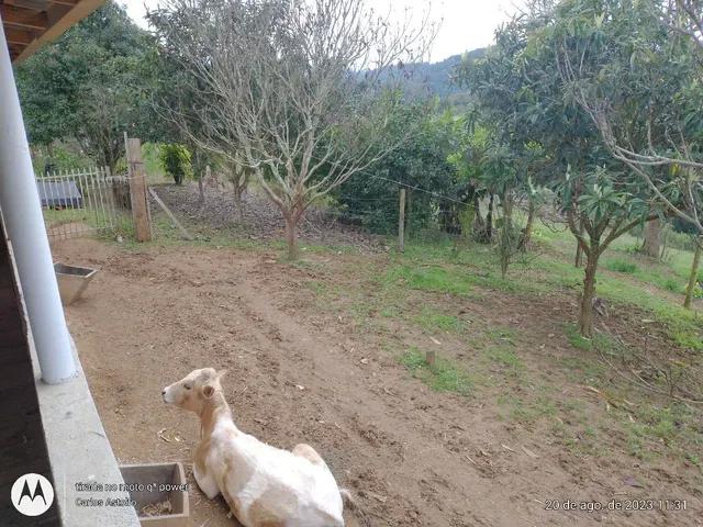 22.000M2 / TODA CERCADA / 2 KM  BR 116 /IDEAL INVESTIDOR