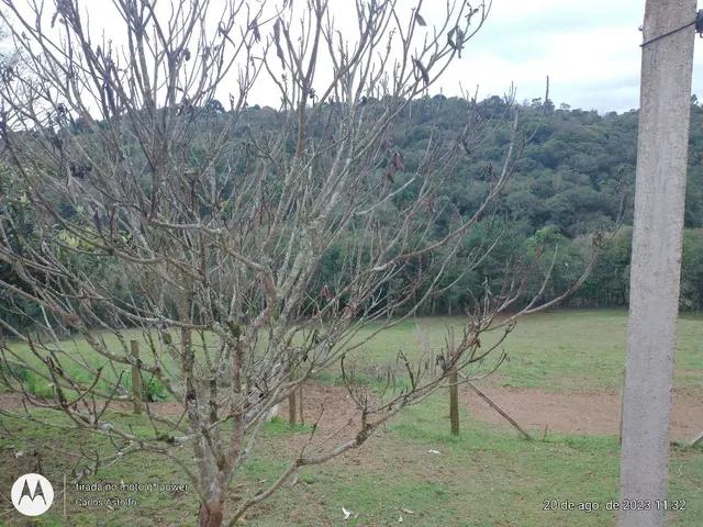 22.000M2 / TODA CERCADA / 2 KM  BR 116 /IDEAL INVESTIDOR