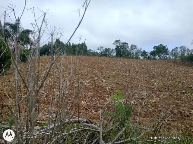 22.000M2 / TODA CERCADA / 2 KM  BR 116 /IDEAL INVESTIDOR