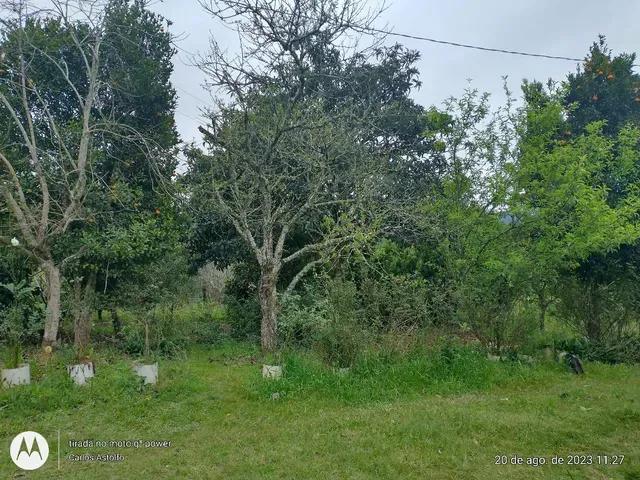 22.000M2 / TODA CERCADA / 2 KM  BR 116 /IDEAL INVESTIDOR