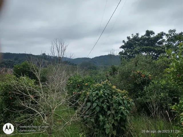 22.000M2 / TODA CERCADA / 2 KM  BR 116 /IDEAL INVESTIDOR