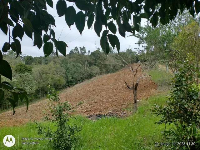 22.000M2 / TODA CERCADA / 2 KM  BR 116 /IDEAL INVESTIDOR