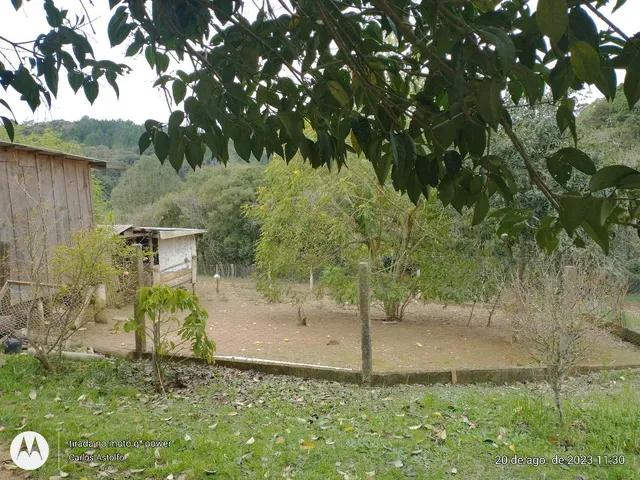 22.000M2 / TODA CERCADA / 2 KM  BR 116 /IDEAL INVESTIDOR