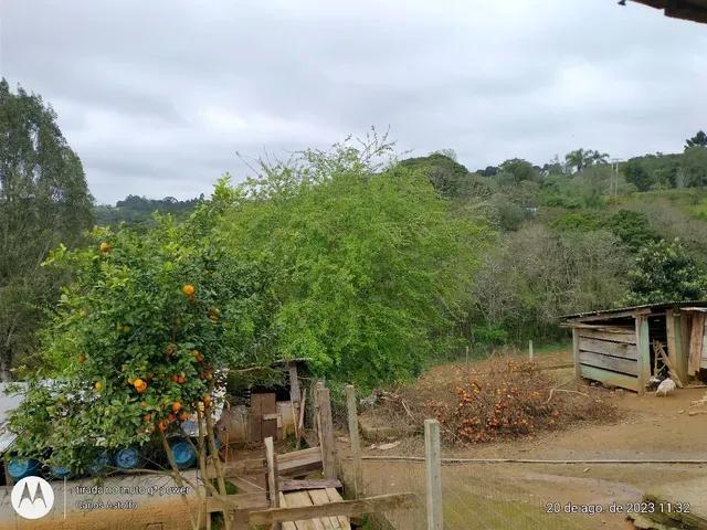 22.000M2 / TODA CERCADA / 2 KM  BR 116 /IDEAL INVESTIDOR