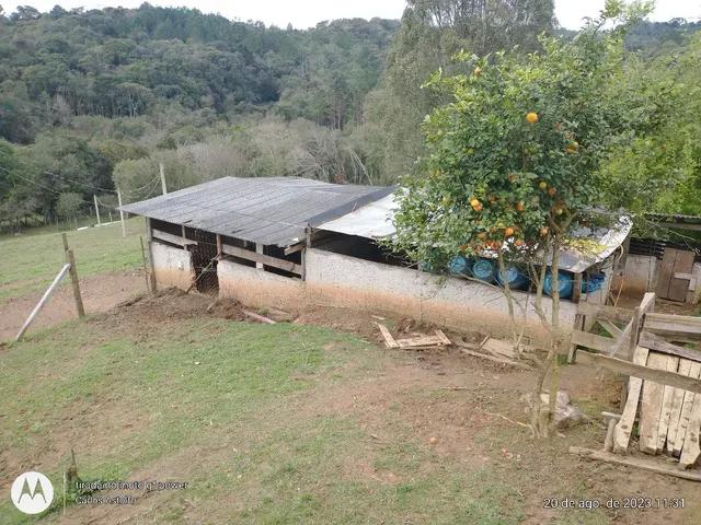 22.000M2 / TODA CERCADA / 2 KM  BR 116 /IDEAL INVESTIDOR