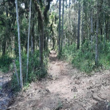 60.500 M2 / IDEAL INVESTIDOR/AÇUDE