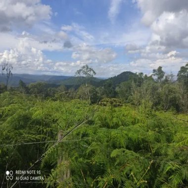 20.000M2 / IDEAL INVESTIDORES 20.000M2 / IDEAL INVESTIDORES