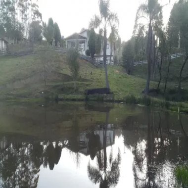 12.000 M2/FRENTE BR 116/03 TANQUES PEIXE /IDEAL INVESTIDOR