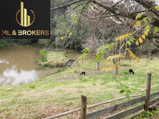 12.000 M2/FRENTE BR 116/03 TANQUES PEIXE /IDEAL INVESTIDOR