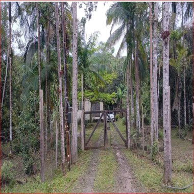 23.2000/GUARAQUEÇABA/TROCA CHACARA OUTRO IMOVEL NA LAPA-PR./IDEAL AIRBNB 23.2000/GUARAQUEÇABA/TROCA CHACARA OUTRO IMOVEL NA LAPA-PR./IDEAL AIRBNB