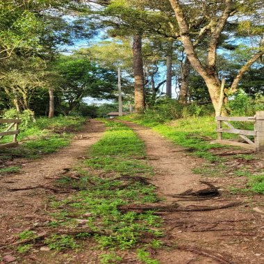 79.860 M2 / RIO / IDEAL INVESTIDOR 79.860 M2 / RIO / IDEAL INVESTIDOR