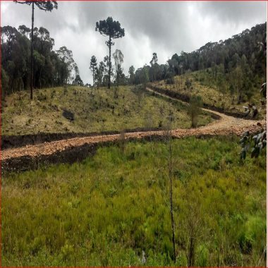 46.000M2/NASCENTE/ENERGIA ELETRICA/IDEAL INVESTIDOR 46.000M2/NASCENTE/ENERGIA ELETRICA/IDEAL INVESTIDOR