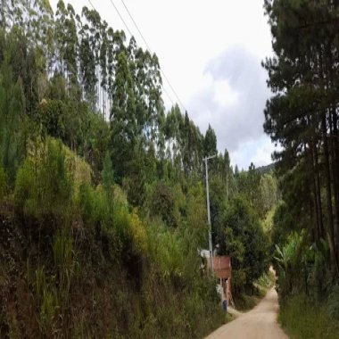 20.100 M2/25 KM CURITIBA/ DOCUMENTADO /IDEAL INVESTIDOR 20.100 M2/25 KM CURITIBA/ DOCUMENTADO /IDEAL INVESTIDOR