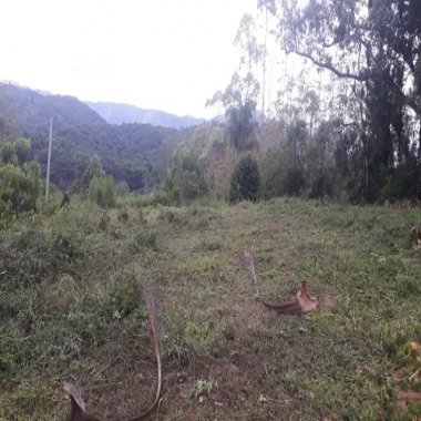 33.000M2/500 METROS REPRESA/IDEAL PARA INVESTIDOR 33.000M2/500 METROS REPRESA/IDEAL PARA INVESTIDOR