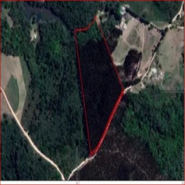 38.000 M2/REBROTA EUCALIPTO LENHA/IDEAL INVESTIDOR 38.000 M2/REBROTA EUCALIPTO LENHA/IDEAL INVESTIDOR