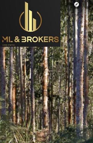 157.385M2/RIACHO DIVISA/IDEAL INVESTIDOR