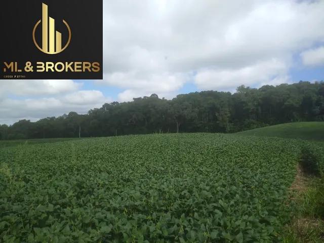 74.000 M2 / RIACHO PASSA PROPRIEDADE /15 KM CONTENDA / IDEAL INVESTIDOR