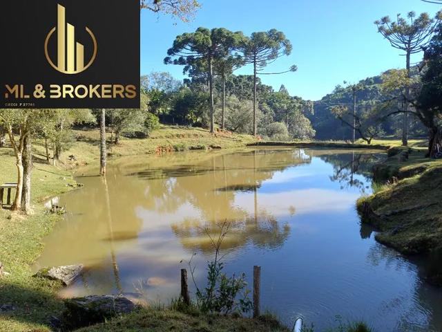 74.000 M2 / RIACHO PASSA PROPRIEDADE /15 KM CONTENDA / IDEAL INVESTIDOR