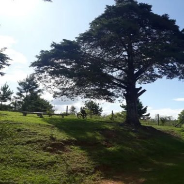 74.000 M2 / RIACHO PASSA PROPRIEDADE /15 KM CONTENDA / IDEAL INVESTIDOR