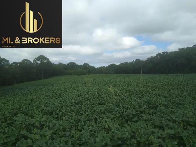 74.000 M2 / RIACHO PASSA PROPRIEDADE /15 KM CONTENDA / IDEAL INVESTIDOR