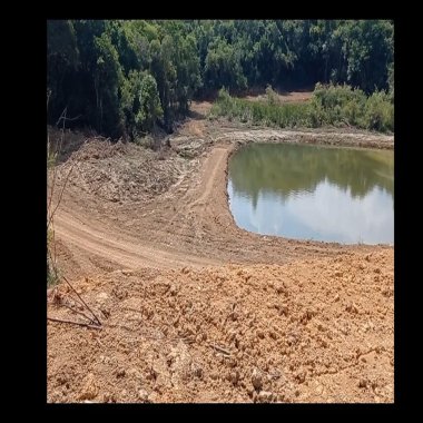 Sítio / Chácara para Venda no bairro CAI DE BAIXO em Mandirituba Sítio / Chácara para Venda no bairro CAI DE BAIXO em Mandirituba
