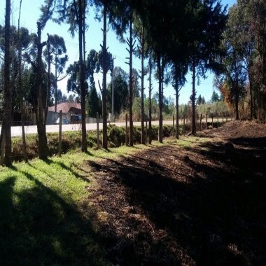 24.626M2/FRENTE PR 419 MANDIRITUBA/ÓTIMA LOCALIZAÇÃO 24.626M2/FRENTE PR 419 MANDIRITUBA/ÓTIMA LOCALIZAÇÃO