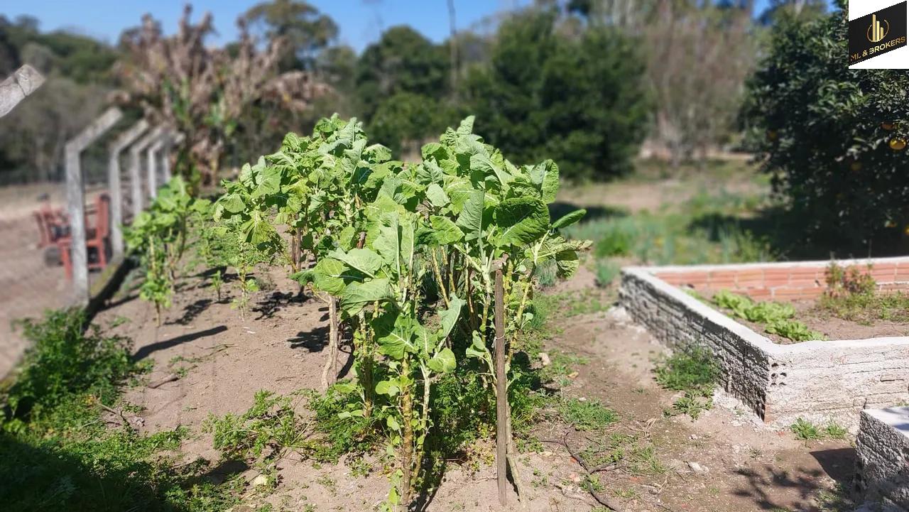 24.000M2 / CASA 250 M2/ TODA CERCADA/DOCUMENTAÇÃO OK