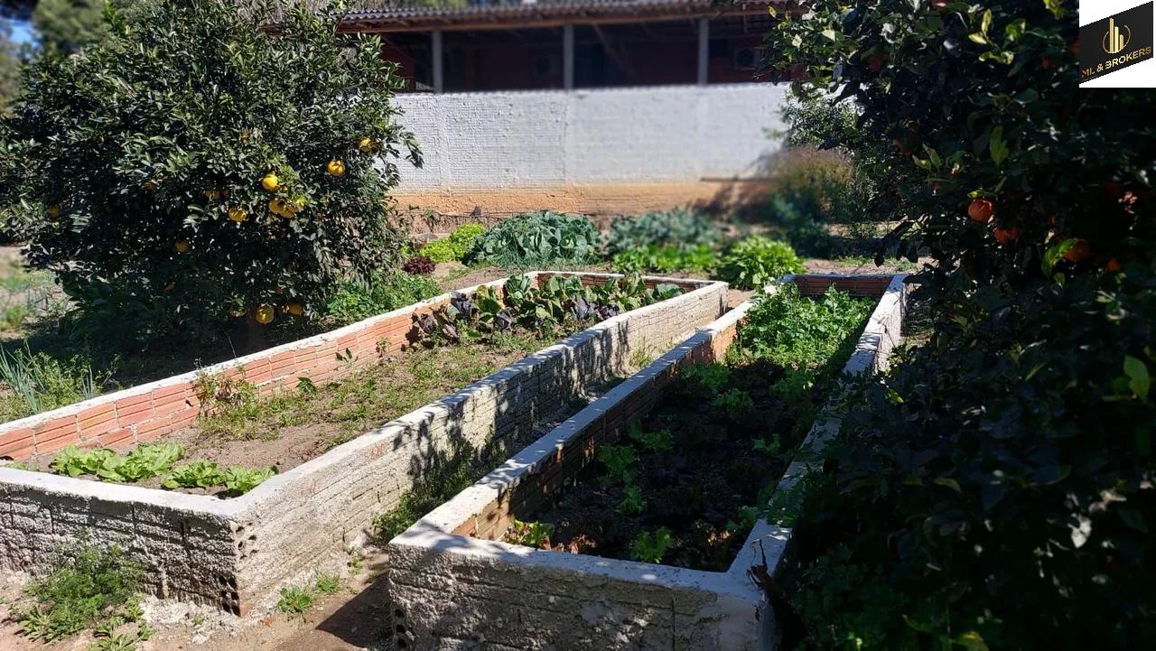 24.000M2 / CASA 250 M2/ TODA CERCADA/DOCUMENTAÇÃO OK