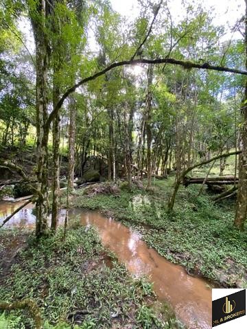 24.000M2 / CASA 250 M2/ TODA CERCADA/DOCUMENTAÇÃO OK