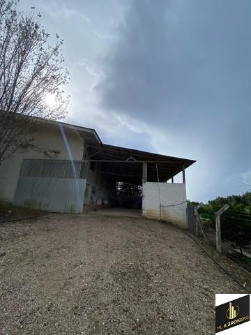 24.000M2 / CASA 250 M2/ TODA CERCADA/DOCUMENTAÇÃO OK