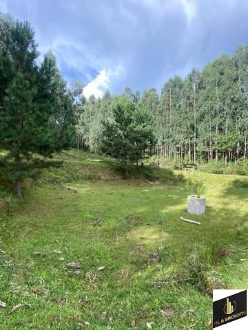 24.000M2 / CASA 250 M2/ TODA CERCADA/DOCUMENTAÇÃO OK