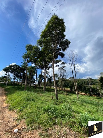 24.000M2 / CASA 250 M2/ TODA CERCADA/DOCUMENTAÇÃO OK
