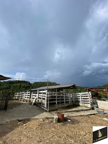 24.000M2 / CASA 250 M2/ TODA CERCADA/DOCUMENTAÇÃO OK