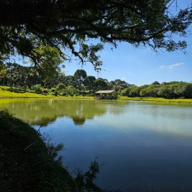 39.000M2 / 03 LAGOS PEIXE / OTIMA LOCALIZAÇÃO/ IDEAL INVESTIDOR 39.000M2 / 03 LAGOS PEIXE / OTIMA LOCALIZAÇÃO/ IDEAL INVESTIDOR